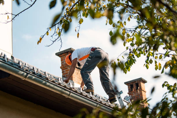 Best Best Roofing Contractors  in Campbell, MO