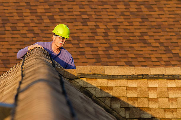 Best Roof Gutter Cleaning  in Campbell, MO